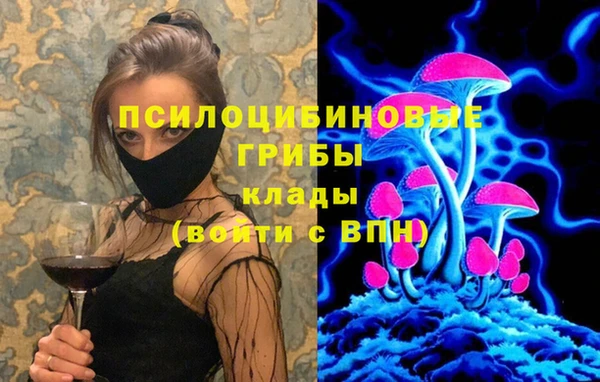 мет Кинешма