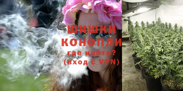 мет Кинешма