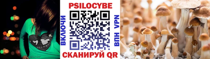 Псилоцибиновые грибы MAGIC MUSHROOMS Купить где Новокузнецк