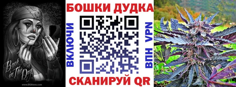 МАРИХУАНА план Купить закладки Новокузнецк